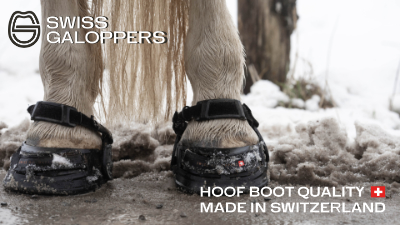 Swiss Galoppers - Hauptsponsor von Baden TV